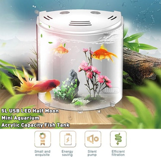TOTEMPAW™ | Eco-Friendly Acrylic Desktop Fish Tank
