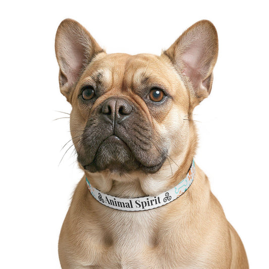 TotemPaw™ Personalized Dog Collar | Heavy-Duty Nylon & D-Ring