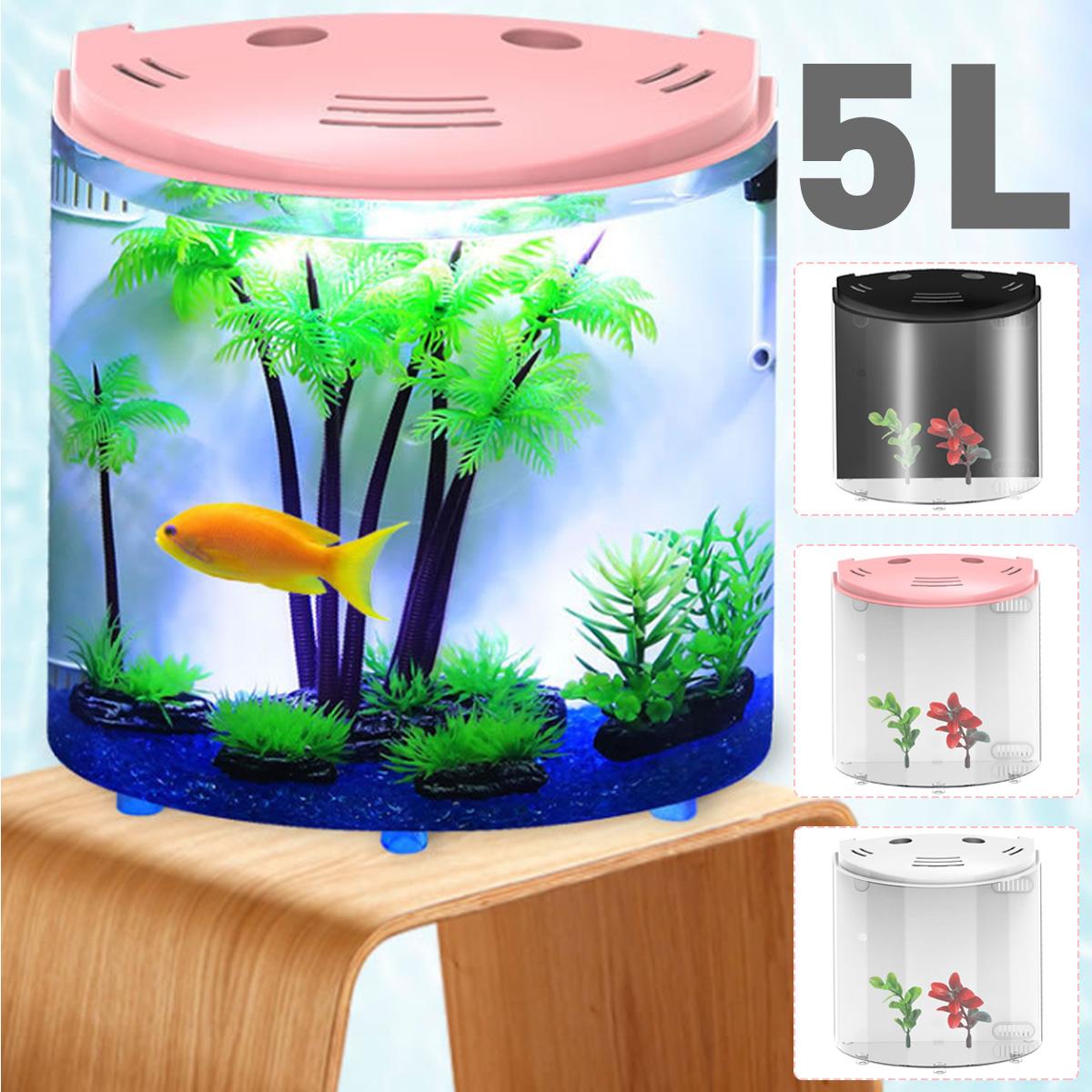 TOTEMPAW™ | Eco-Friendly Acrylic Desktop Fish Tank