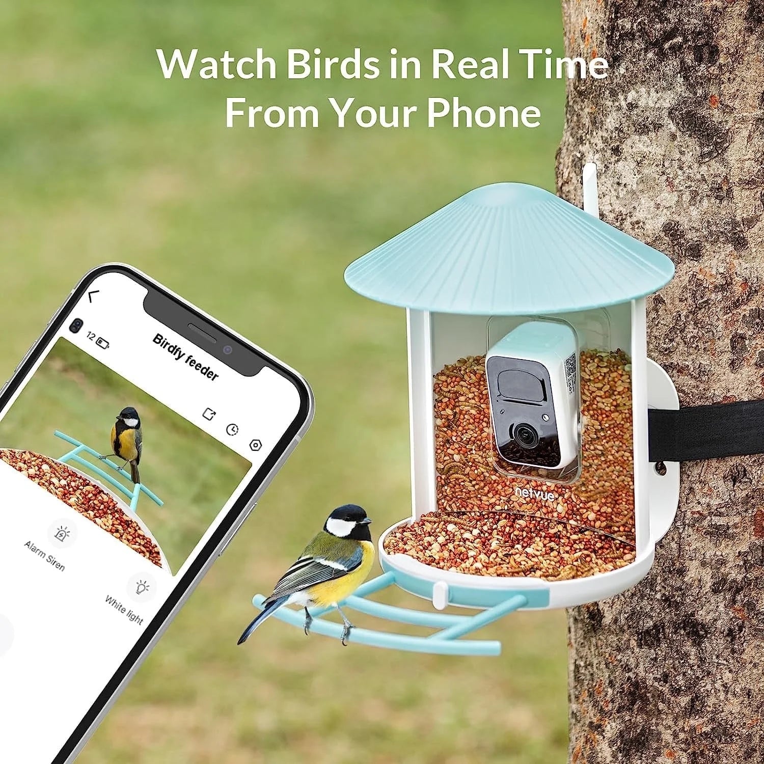 Bird Feeder with Camera, Smart Bird Camera with Solar Panel, AI Identify 6000+ Species, Automatic Reminder Recording, Ideal Gift