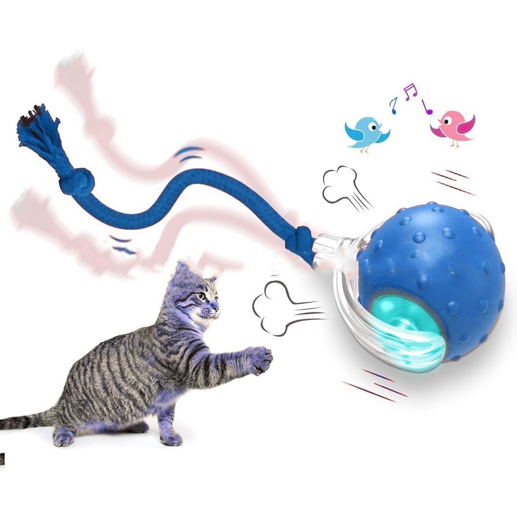 TOTEMPAW™ | Interactive Self-Rolling Cat Toy Ball