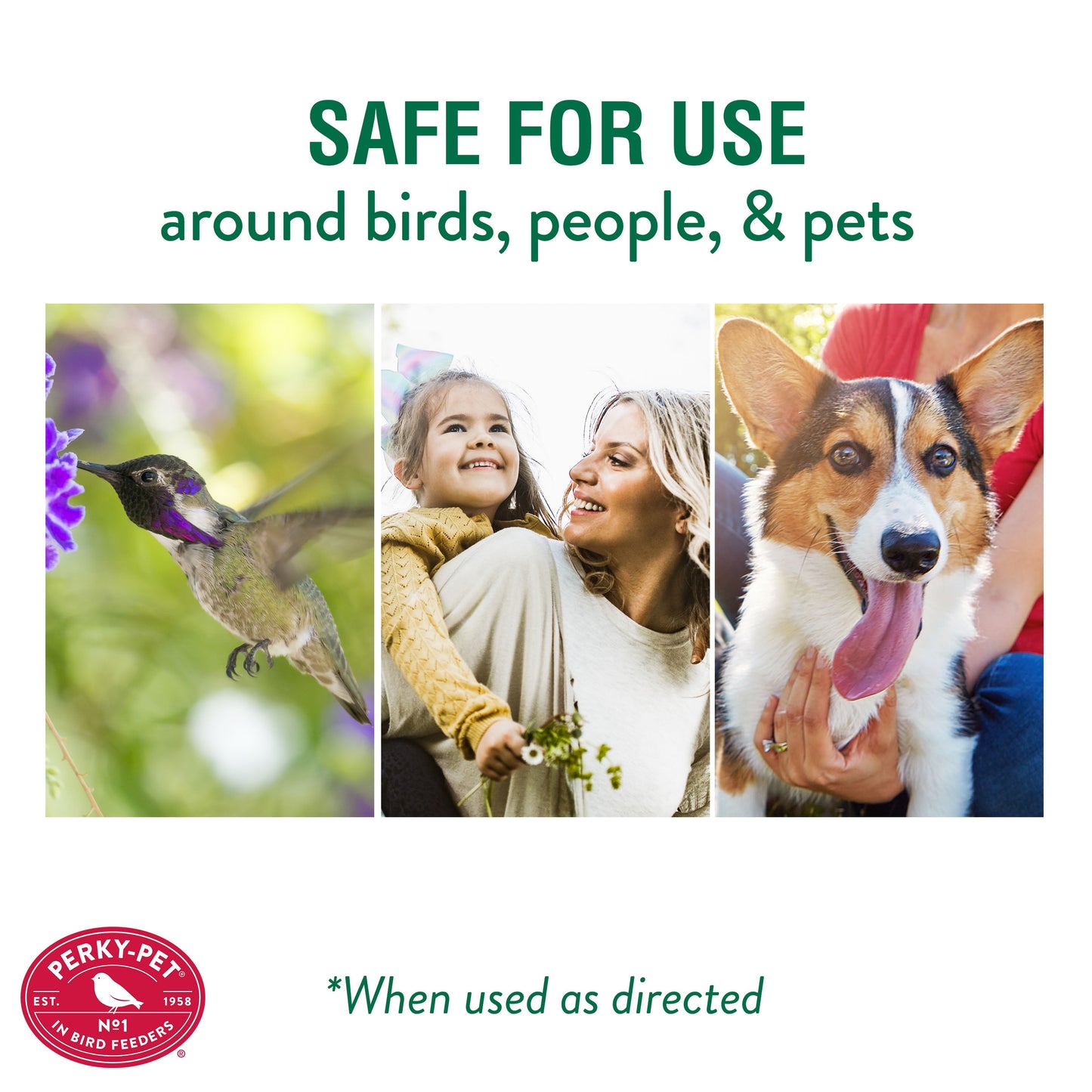 (2 Pack)  Ant Guard plus for Hummingbird Feeders, Red, 1 Pack