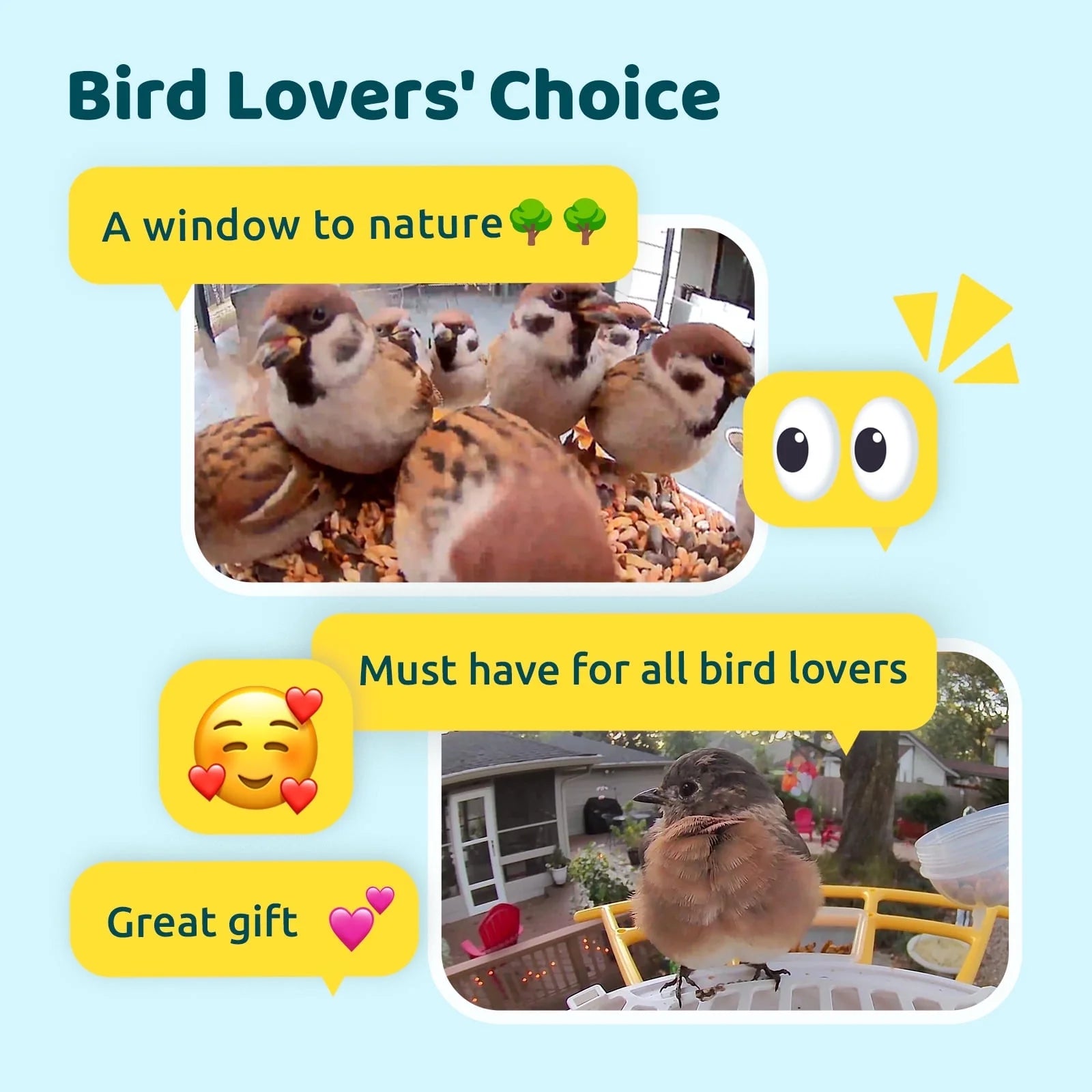 Bird Feeder with Camera, Smart Bird Camera with Solar Panel, AI Identify 6000+ Species, Automatic Reminder Recording, Ideal Gift