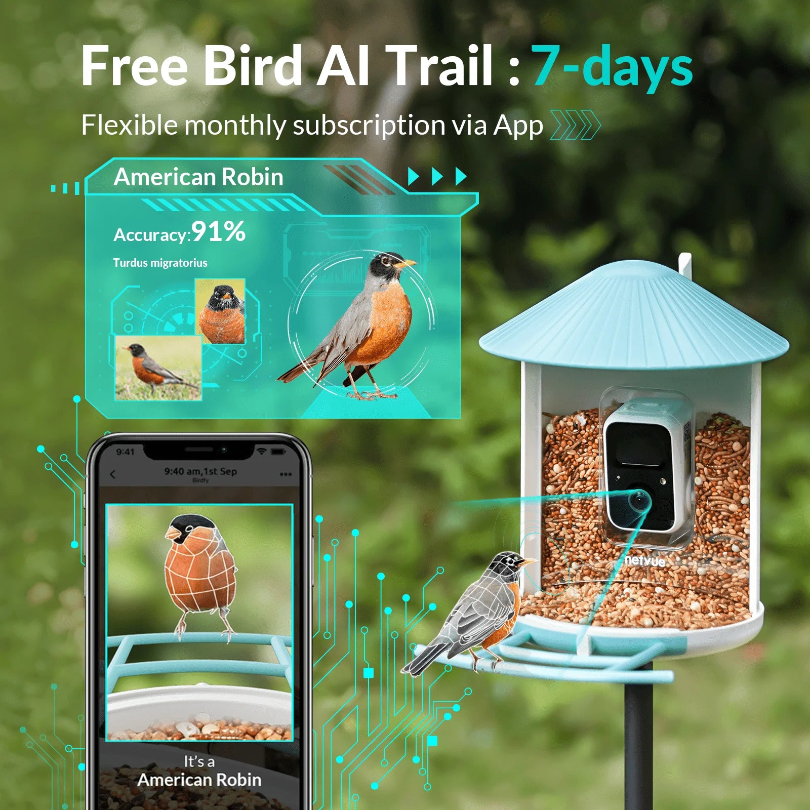 Bird Feeder with Camera, Smart Bird Camera with Solar Panel, AI Identify 6000+ Species, Automatic Reminder Recording, Ideal Gift