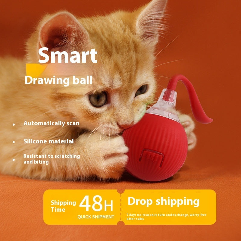 TOTEMPAW™ | Interactive Self-Rolling Cat Toy Ball