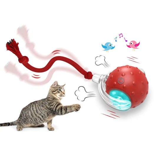 TOTEMPAW™ | Interactive Self-Rolling Cat Toy Ball